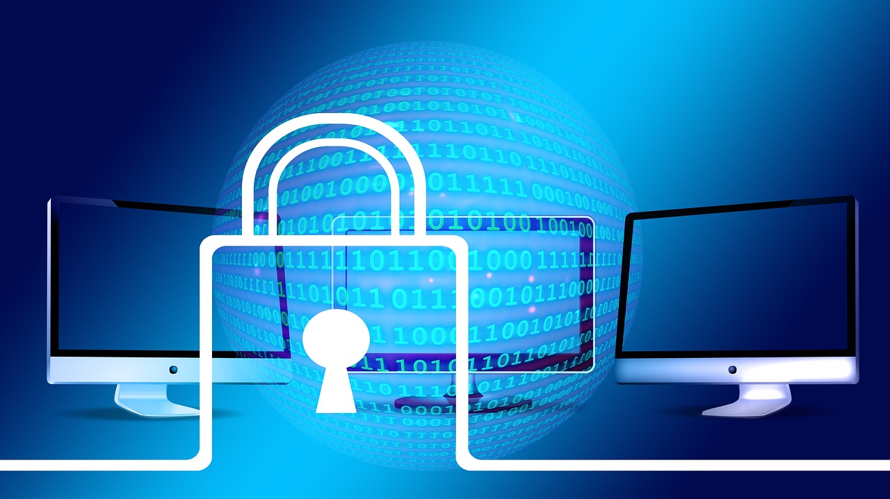 Protecting your e-wallet from cyber theft